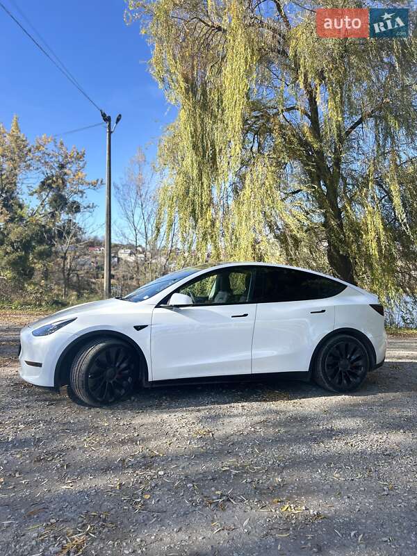 Внедорожник / Кроссовер Tesla Model Y 2022 в Бережанах