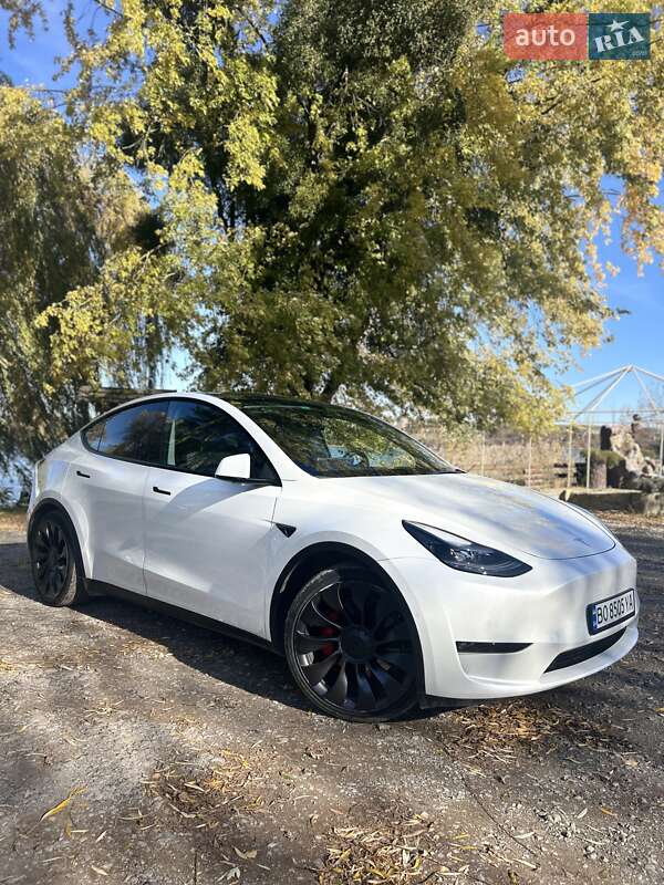 Внедорожник / Кроссовер Tesla Model Y 2022 в Бережанах
