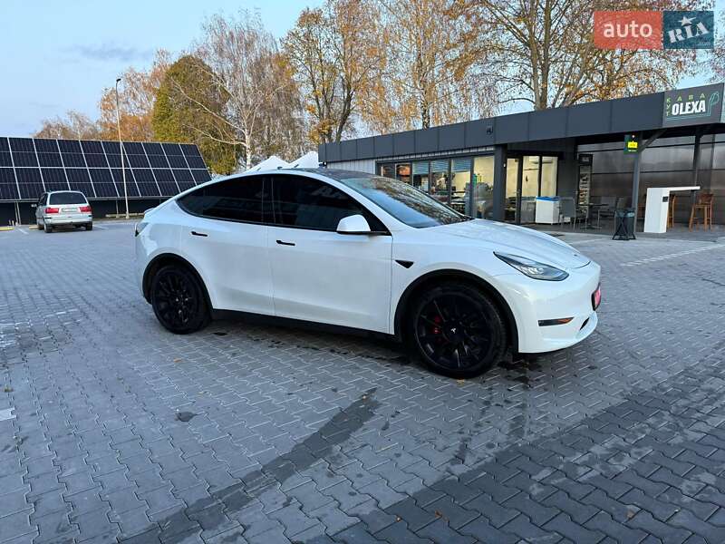 Внедорожник / Кроссовер Tesla Model Y 2020 в Владимире