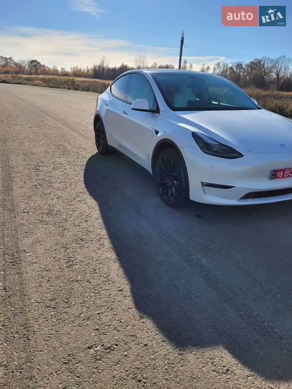 Позашляховик / Кросовер Tesla Model Y 2023 в Львові