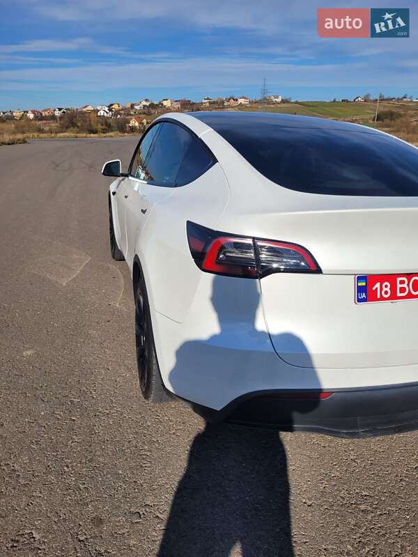Позашляховик / Кросовер Tesla Model Y 2023 в Львові