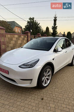 Позашляховик / Кросовер Tesla Model Y 2021 в Луцьку