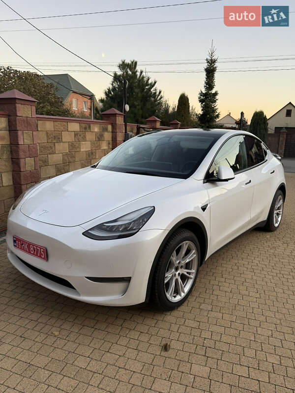 Позашляховик / Кросовер Tesla Model Y 2021 в Луцьку фото Позашляховик / Кросовер Tesla Model Y 2021 в Луцьку