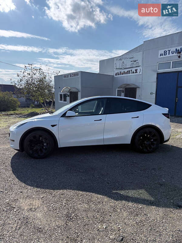Внедорожник / Кроссовер Tesla Model Y 2023 в Черновцах