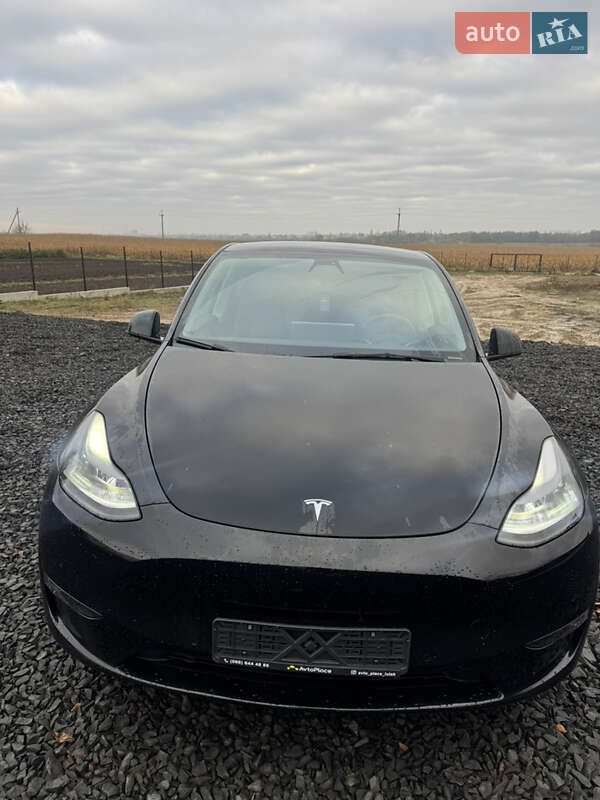 Позашляховик / Кросовер Tesla Model Y 2022 в Луцьку