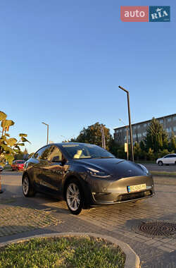 Позашляховик / Кросовер Tesla Model Y 2021 в Золочеві