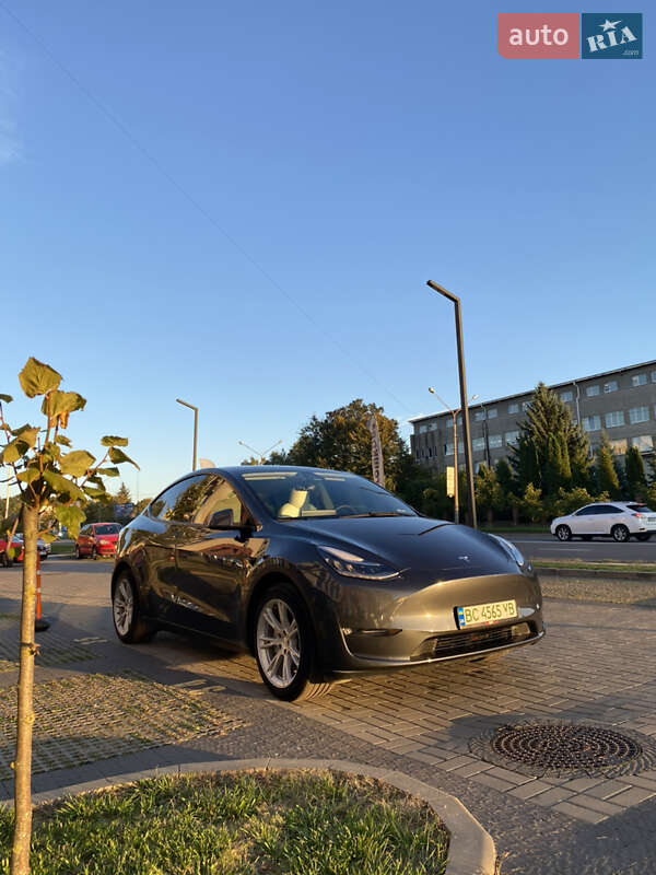 Tesla Model Y 2021 Tesla Model Y 2021