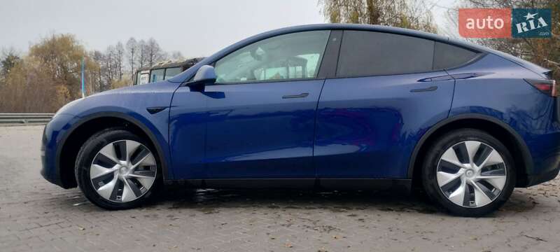 Внедорожник / Кроссовер Tesla Model Y 2020 в Киеве