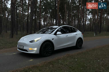 Внедорожник / Кроссовер Tesla Model Y 2022 в Александровке