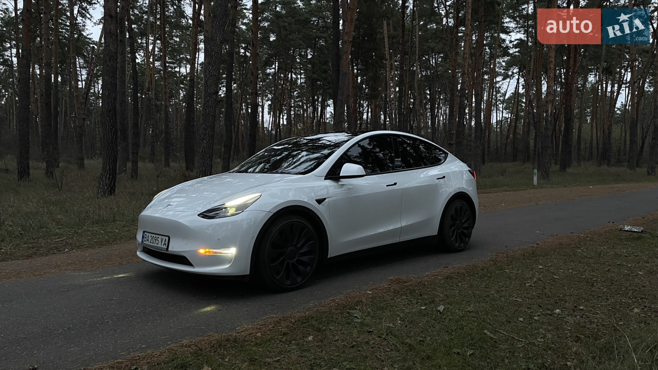 2021 Tesla Model Y - мініатюра 66