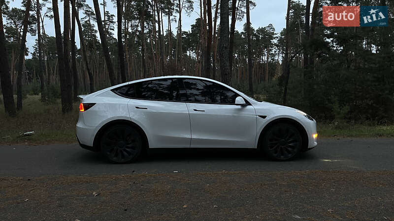 Позашляховик / Кросовер Tesla Model Y 2022 в Олександрівці