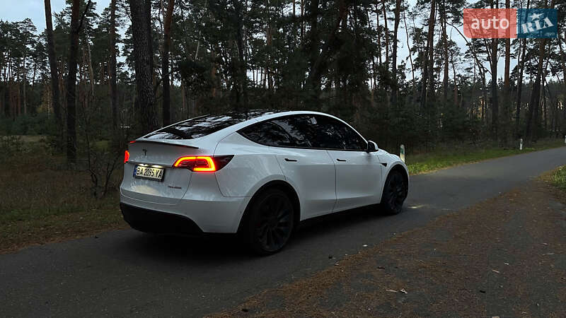 Позашляховик / Кросовер Tesla Model Y 2022 в Олександрівці