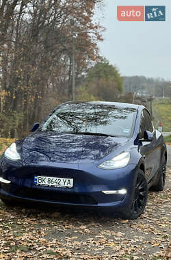 Позашляховик / Кросовер Tesla Model Y 2022 в Рівному