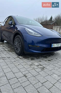 Позашляховик / Кросовер Tesla Model Y 2024 в Копичинці