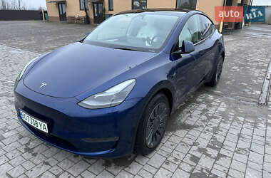 Внедорожник / Кроссовер Tesla Model Y 2024 в Копычинце