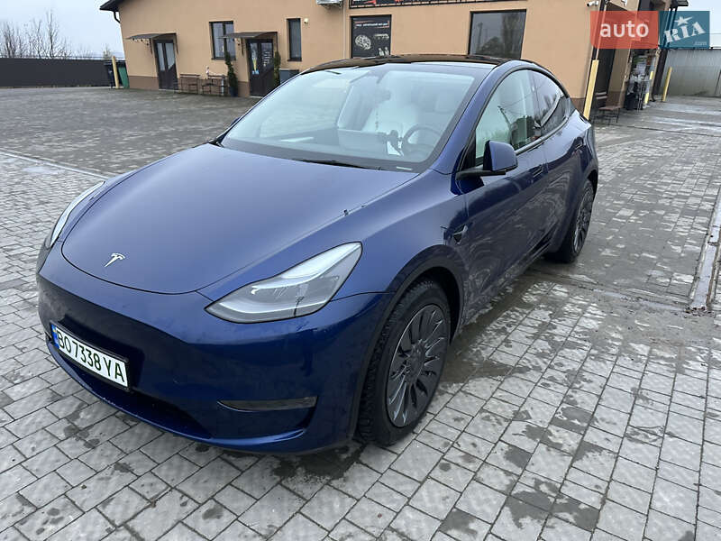 Позашляховик / Кросовер Tesla Model Y 2024 в Копичинці