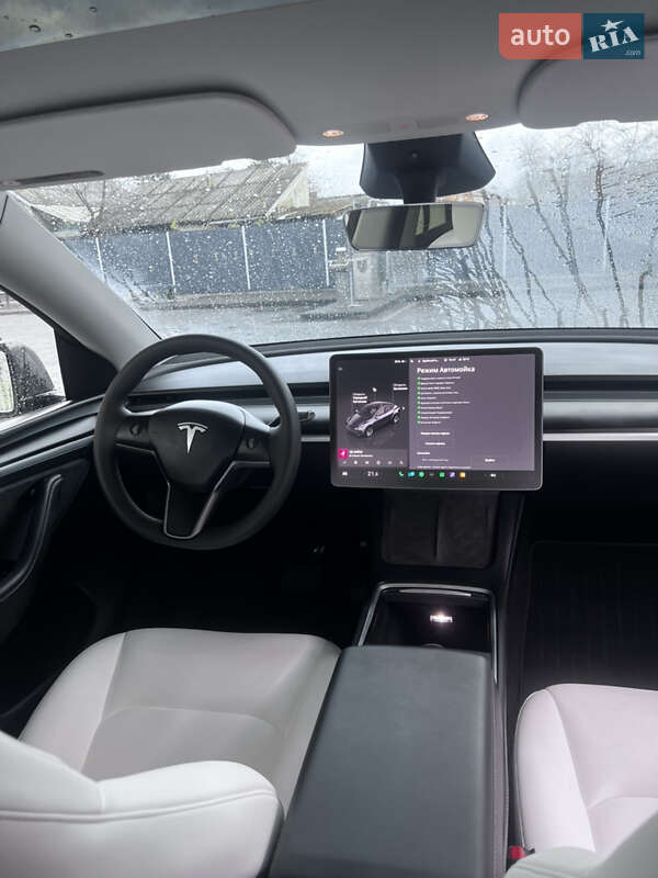 Внедорожник / Кроссовер Tesla Model Y 2024 в Самборе