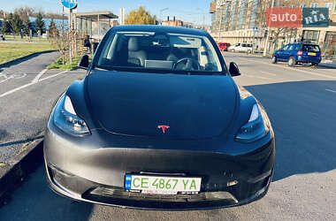 Внедорожник / Кроссовер Tesla Model Y 2024 в Черновцах