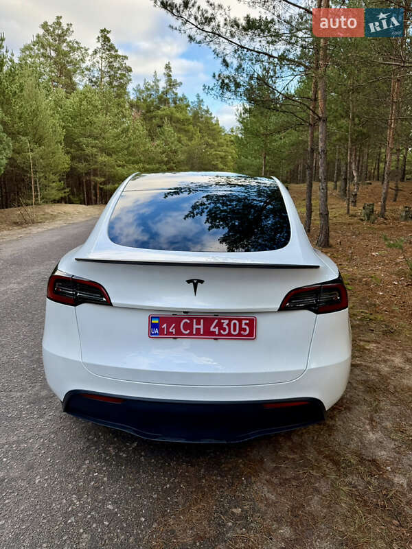 Позашляховик / Кросовер Tesla Model Y 2024 в Києві