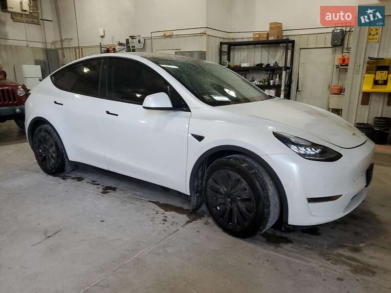 Внедорожник / Кроссовер Tesla Model Y 2020 в Запорожье