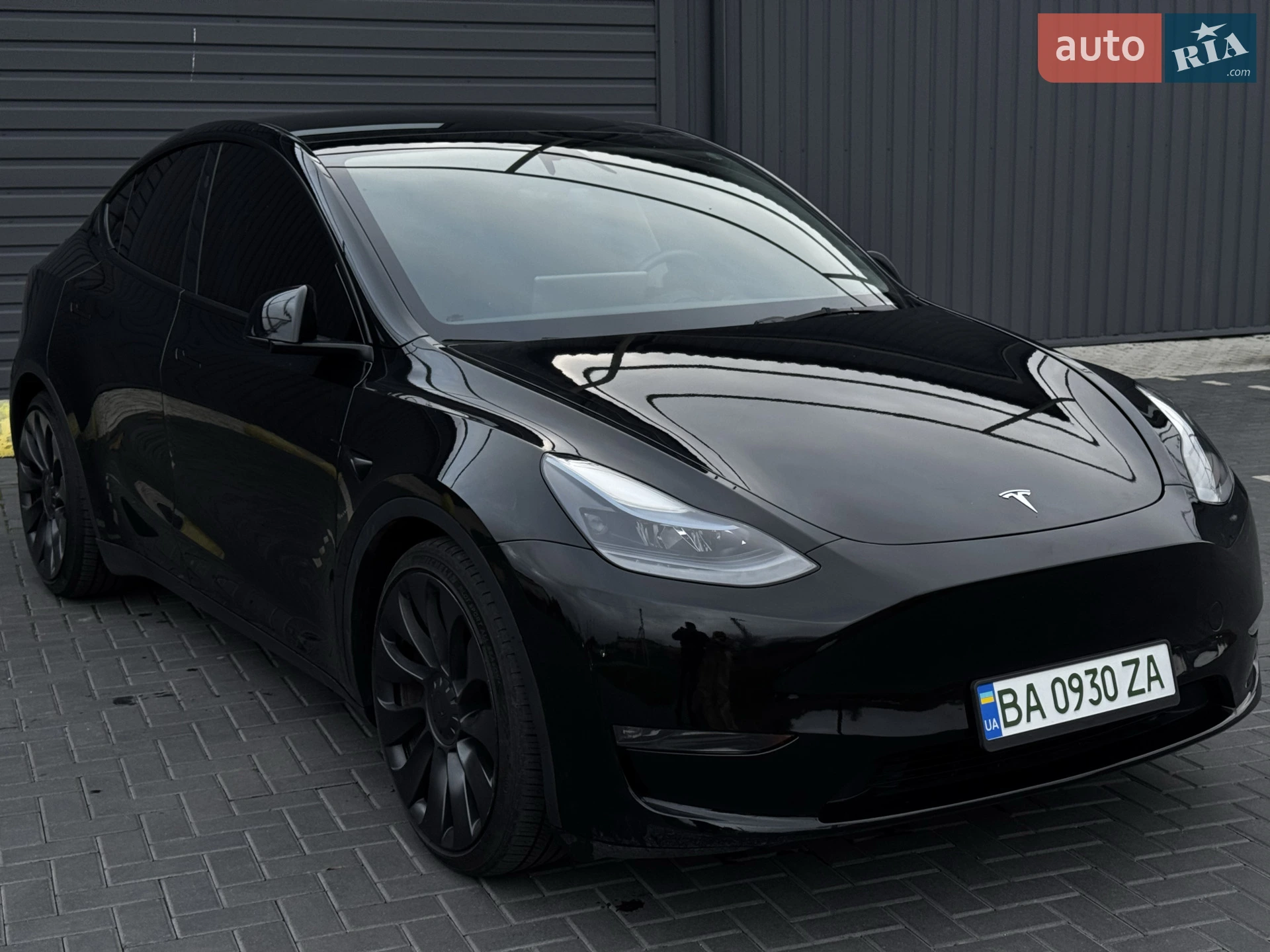 2023 Tesla Model Y - фото 1