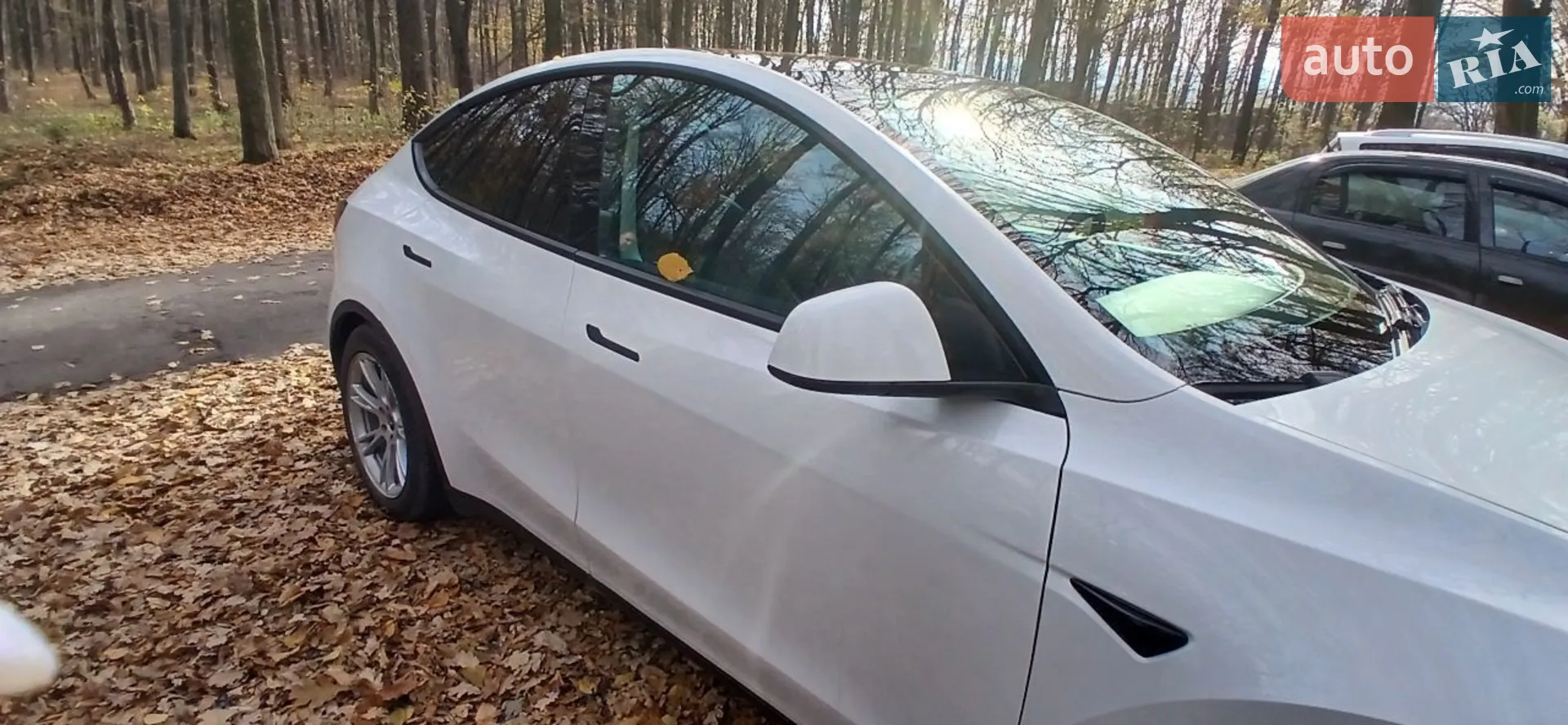 2020 Tesla Model Y - мініатюра 4