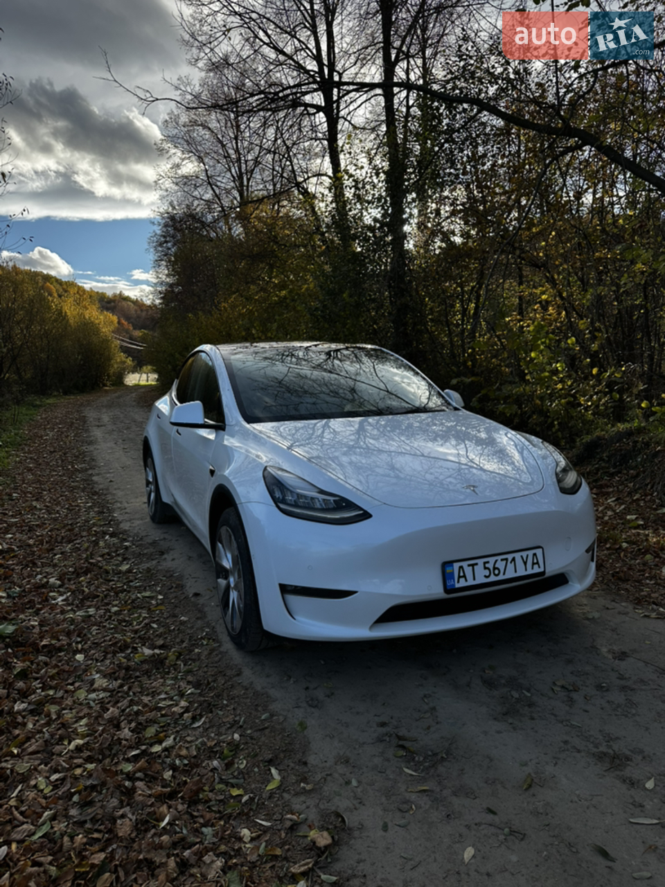 2023 Tesla Model Y - мініатюра 23