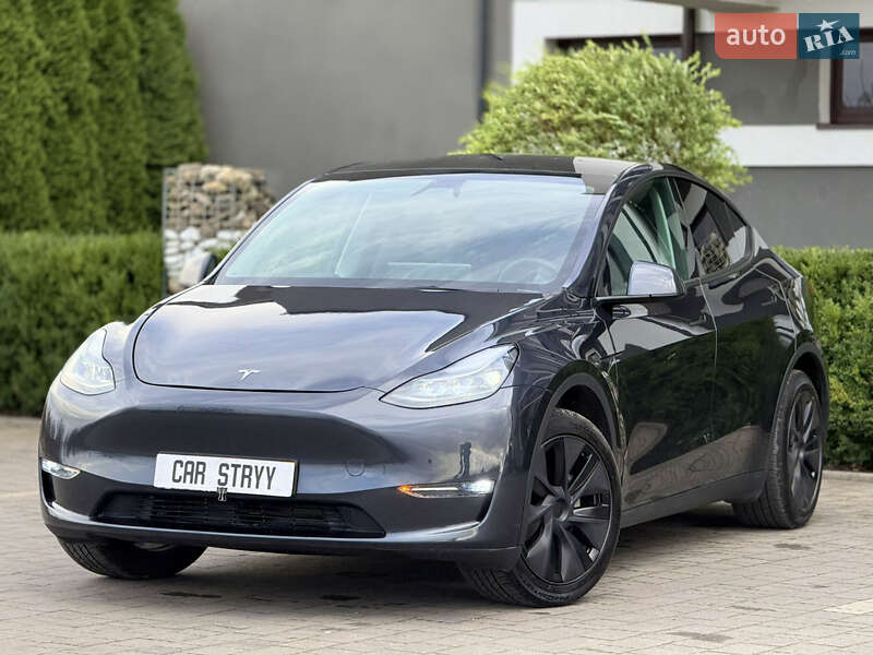 Позашляховик / Кросовер Tesla Model Y 2024 в Стрию фото 19 Позашляховик / Кросовер Tesla Model Y 2024 в Стрию