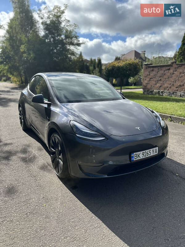 Внедорожник / Кроссовер Tesla Model Y 2020 в Ровно