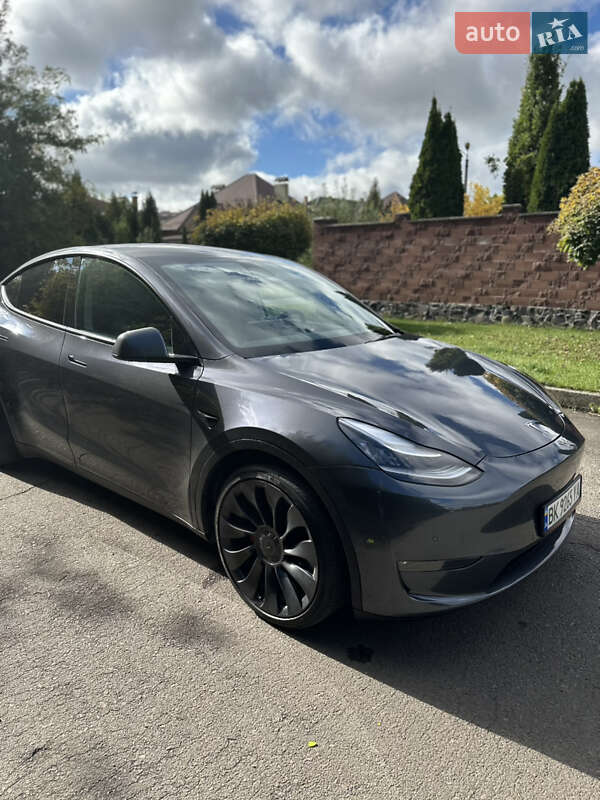 Внедорожник / Кроссовер Tesla Model Y 2020 в Ровно