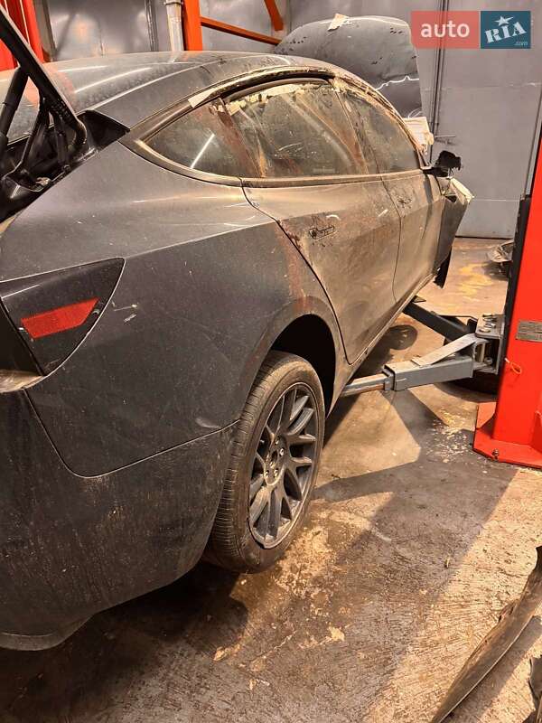 Внедорожник / Кроссовер Tesla Model Y 2024 в Киеве