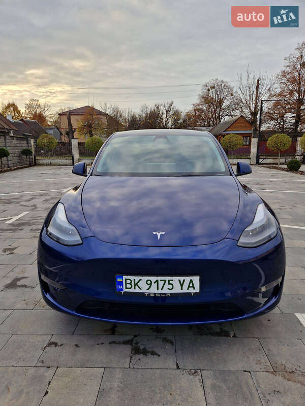 Позашляховик / Кросовер Tesla Model Y 2023 в Рівному