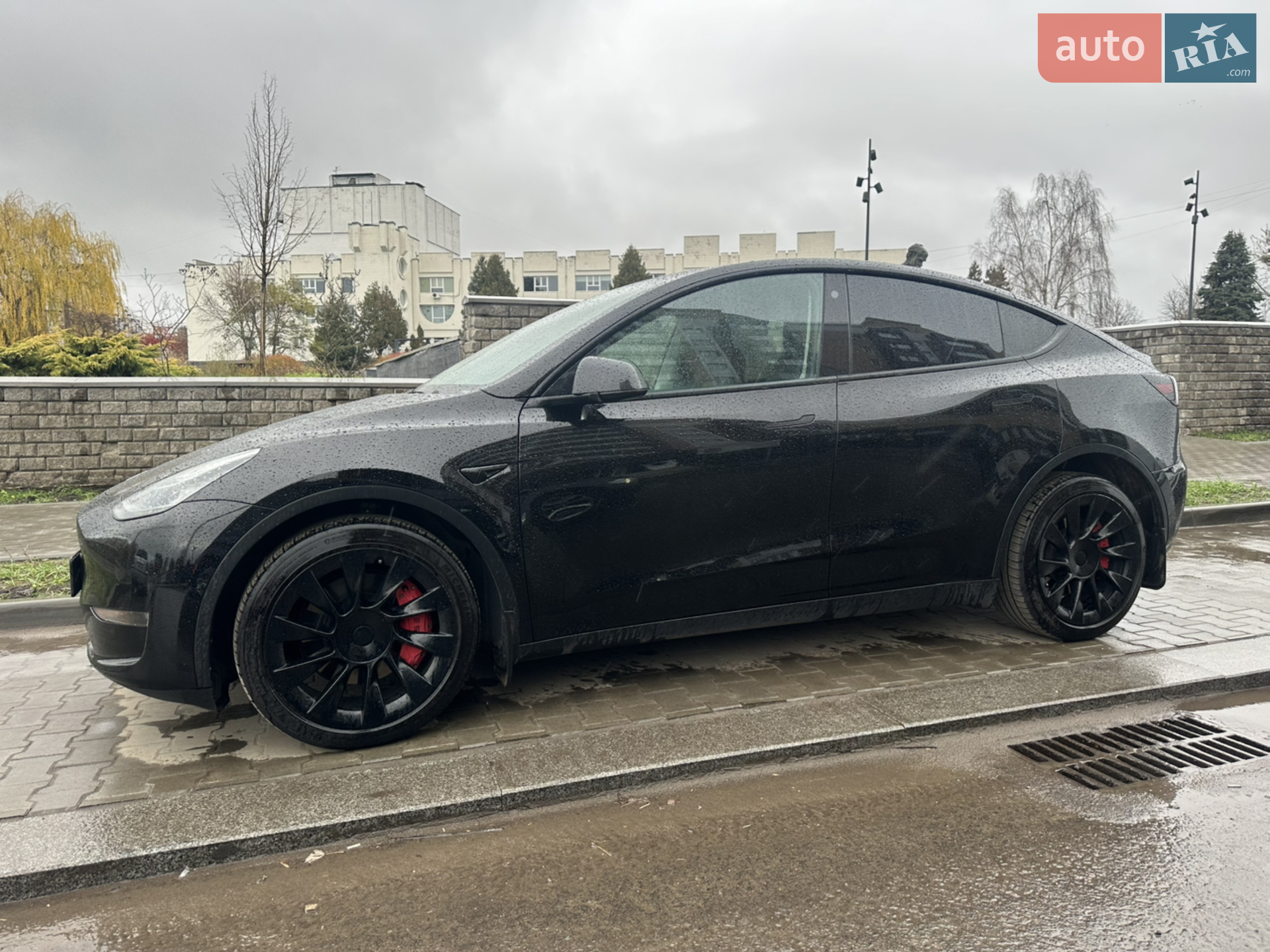 2021 Tesla Model Y - фото 1