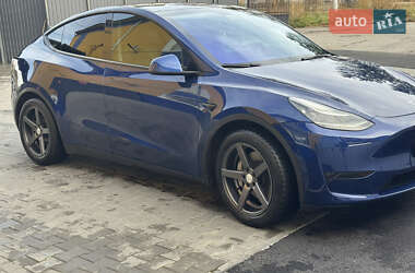 Позашляховик / Кросовер Tesla Model Y 2021 в Звягелі