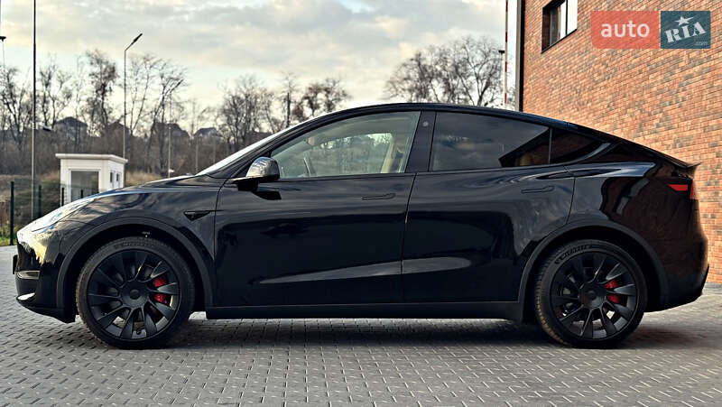 Внедорожник / Кроссовер Tesla Model Y 2024 в Черновцах