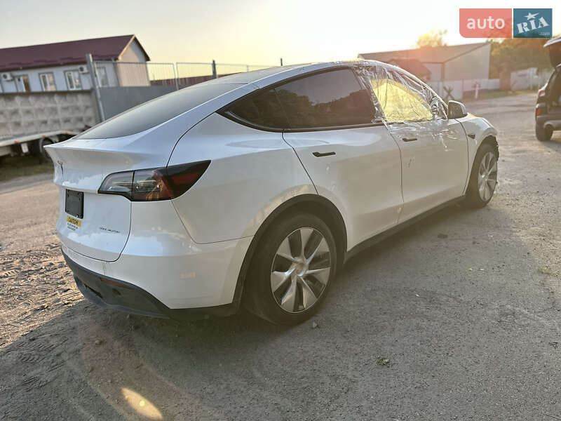 Позашляховик / Кросовер Tesla Model Y 2023 в Рівному