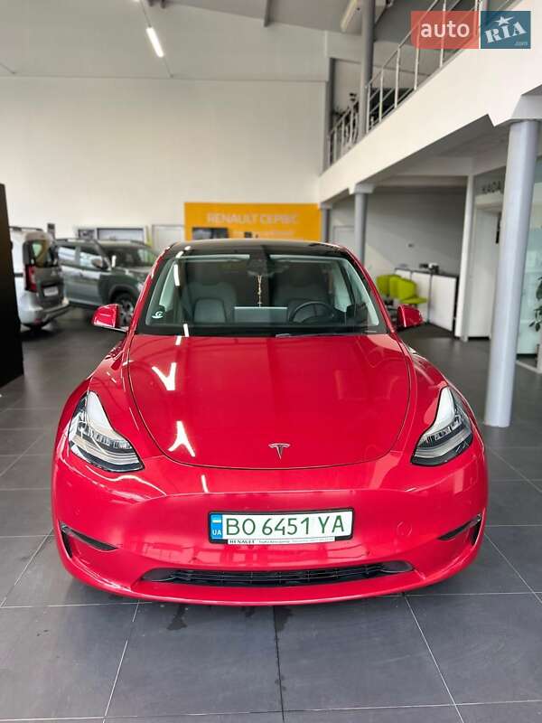 Внедорожник / Кроссовер Tesla Model Y 2020 в Тернополе