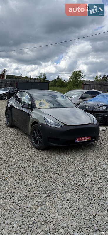 Внедорожник / Кроссовер Tesla Model Y 2024 в Львове