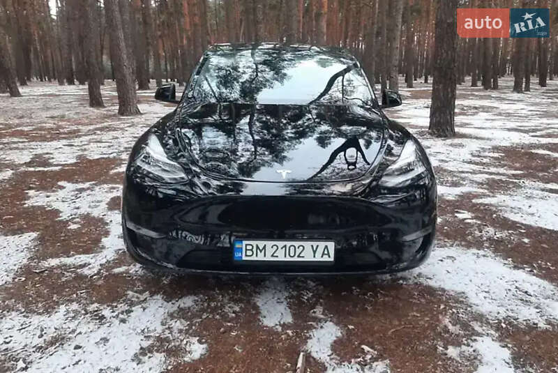 Внедорожник / Кроссовер Tesla Model Y 2022 в Черновцах фото 13 Внедорожник / Кроссовер Tesla Model Y 2022 в Черновцах