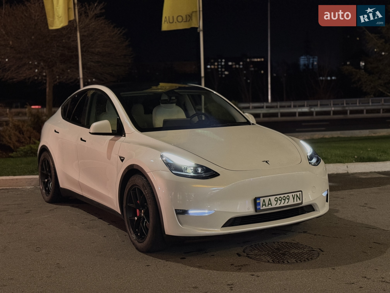 2021 Tesla Model Y - мініатюра 16