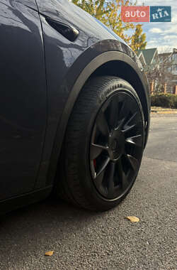 Внедорожник / Кроссовер Tesla Model Y 2023 в Кривом Роге