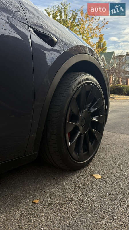 Внедорожник / Кроссовер Tesla Model Y 2023 в Кривом Роге фото 6 Внедорожник / Кроссовер Tesla Model Y 2023 в Кривом Роге