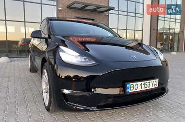 Позашляховик / Кросовер Tesla Model Y 2021 в Тернополі