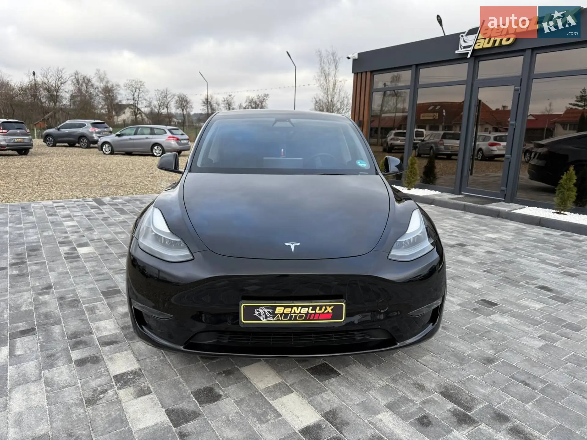2022 Tesla Model Y - мініатюра 2