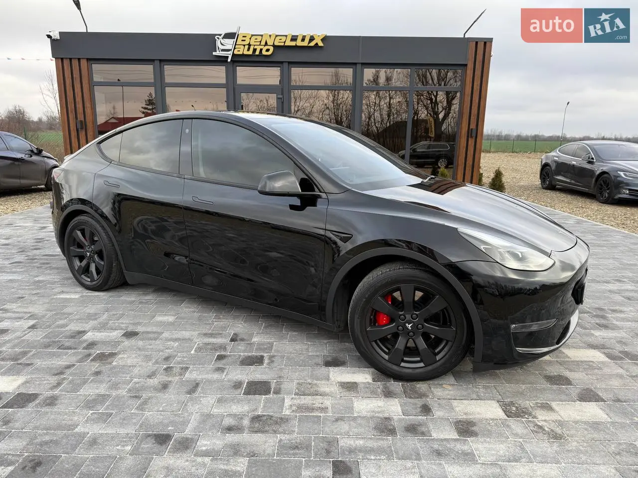 2022 Tesla Model Y - мініатюра 80
