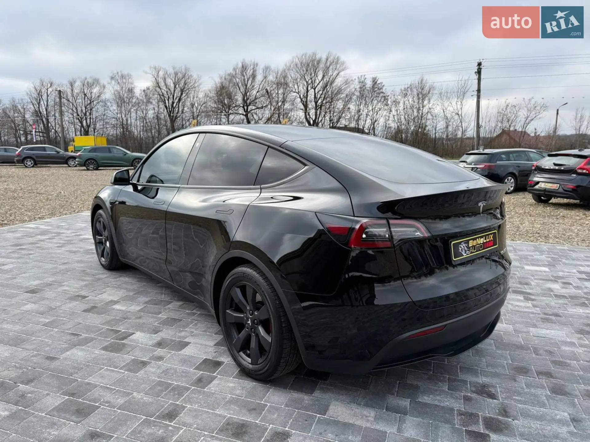 2022 Tesla Model Y - мініатюра 6