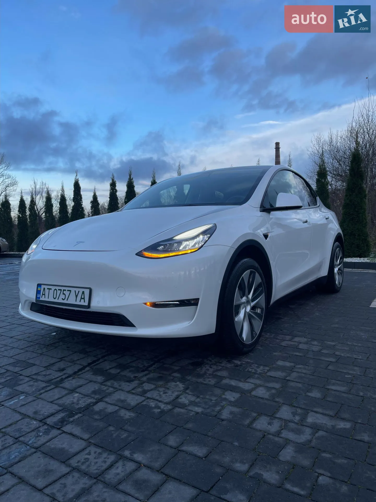 2021 Tesla Model Y - мініатюра 20