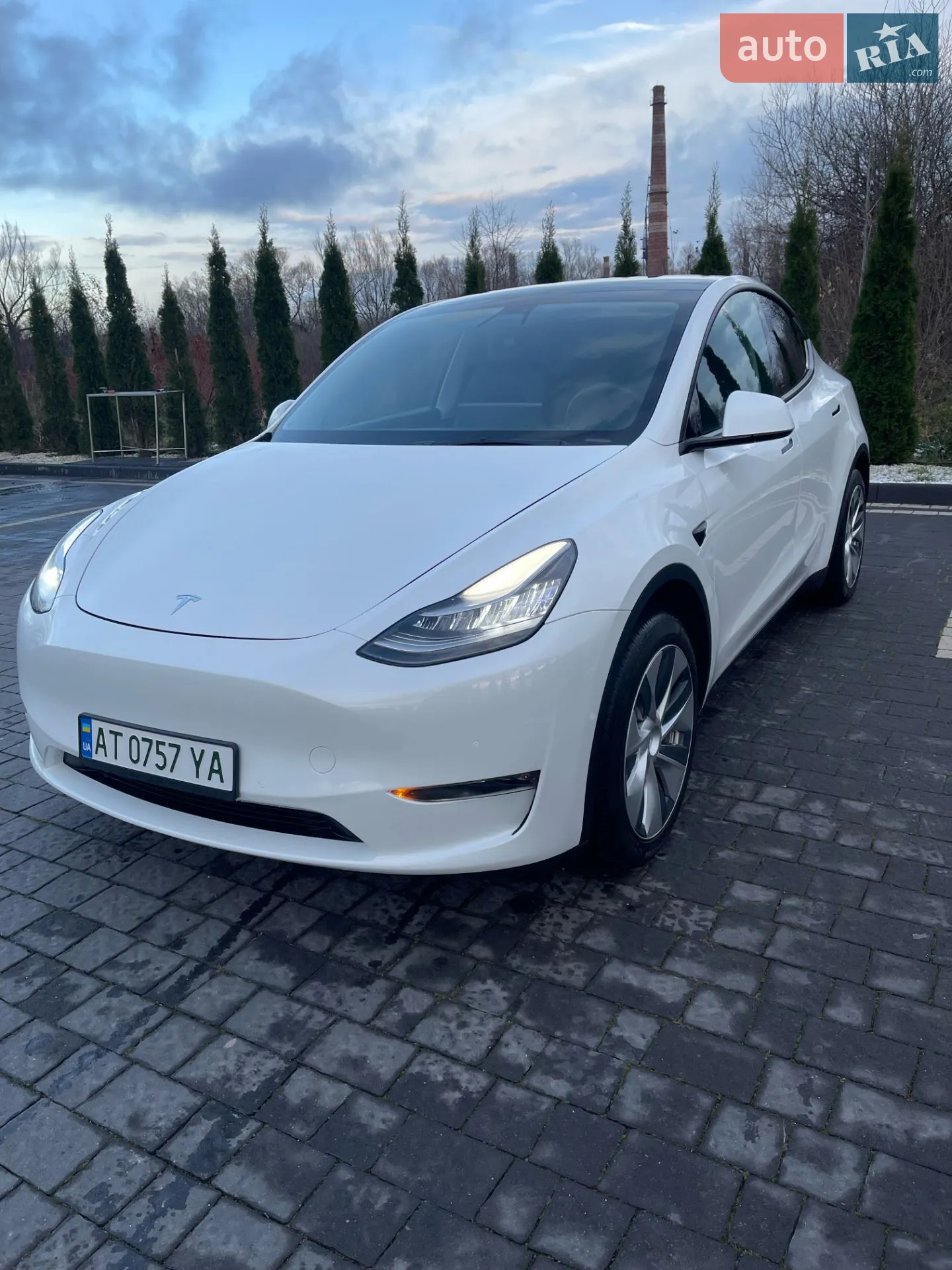 2021 Tesla Model Y - мініатюра 6
