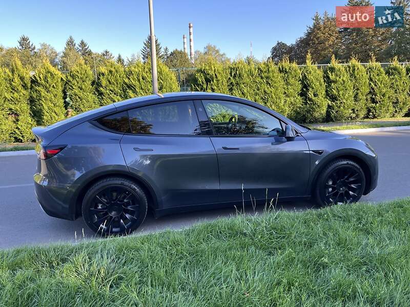 Внедорожник / Кроссовер Tesla Model Y 2023 в Луцке