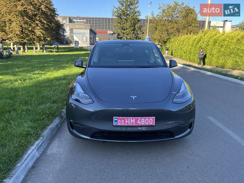 Внедорожник / Кроссовер Tesla Model Y 2023 в Луцке